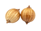 Coriander Seed