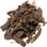 Nagarmotha