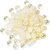 Finger Lime