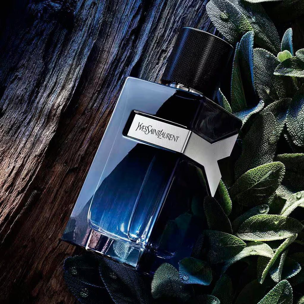 Yves Saint Laurent Y